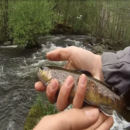 בית נופש Moulin De Record *