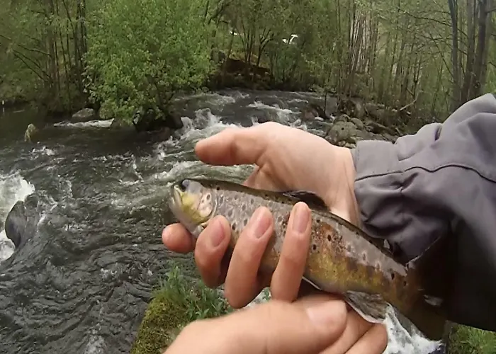 Nyaraló Moulin De Record *