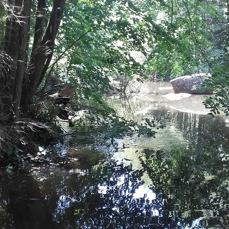 Moulin De Record *