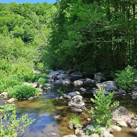 Moulin De Record * Ferrieres (Tarn)