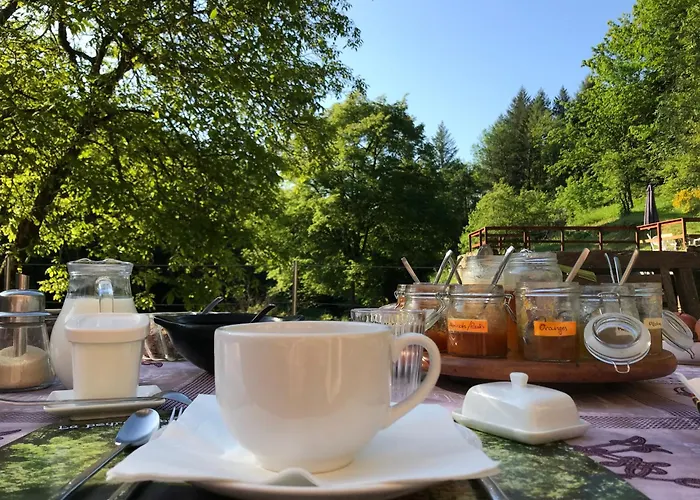 Moulin De Record Ferrieres (Tarn)