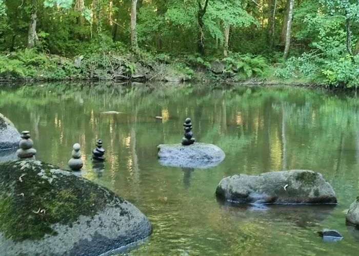 Moulin De Record Ferrieres (Tarn)