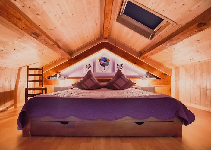 Moulin De Record Ferrieres (Tarn)